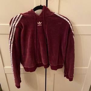 Adidas cropped velvet hoodie